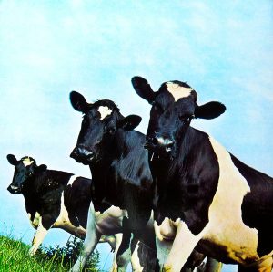 Pink Floyd - Atom Heart Mother LP (Remastered) - Image 4