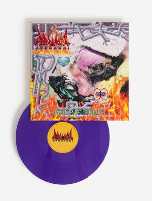 GABBER MODUS OPERANDI -  HOXXXYA LP - Image 2