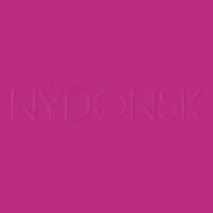 Nýdönsk – Í Raunheimum