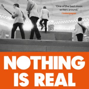 David Hepworth, Nothing Is Real, Paperback