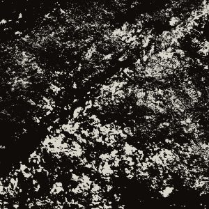 Mark Fell and Rian Treanor - Last exit to chickenley