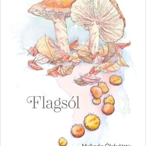 Flagsól - Melkorka Ólafsdóttir, Hlíf Una Bárudóttir