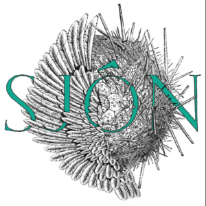 Sjón - gráspörvar og ígulker