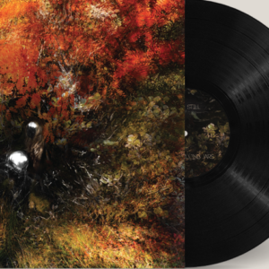 Bergrún Snæbjörnsdóttir - Skinweeper (pre-sale)