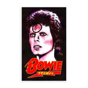 David Bowie, Bowie Trumps, Top Trumps