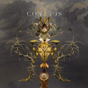 Joep Beving - Conatus LP